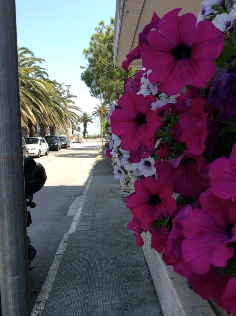 La Palazzina 3* San Benedetto del Tronto